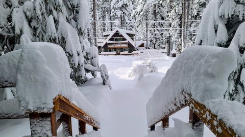 Post-snowstorm serenity. (Don't worry, we contract with a plow company to clear the driveway!)
