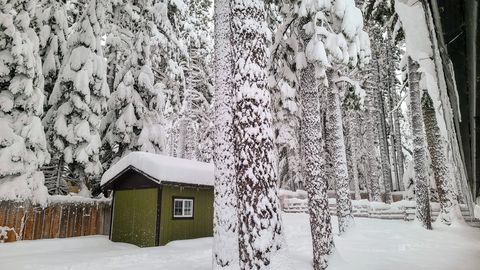 Your own magical winterland!