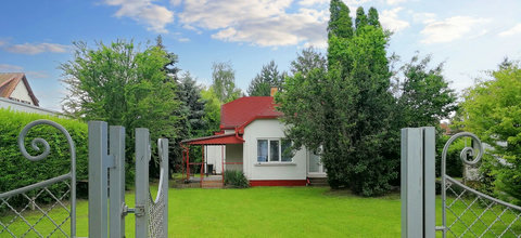 Spacious green garden 