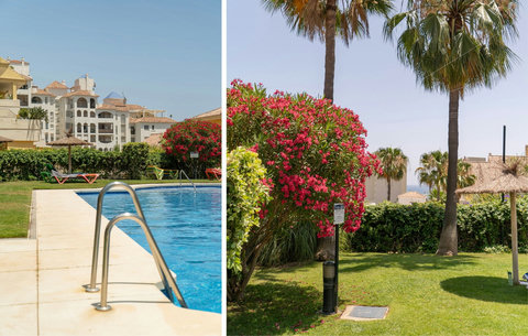 Swimming pool & gardens