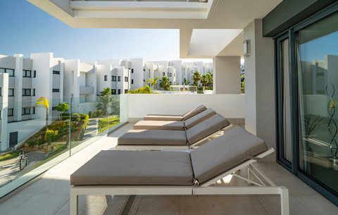 Terrace & sun loungers