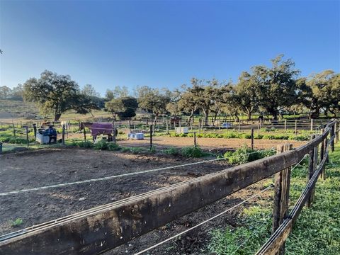 San Roque Equestrian Center