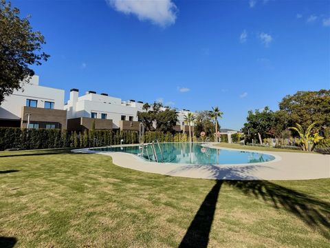 Swimming pool & gardens