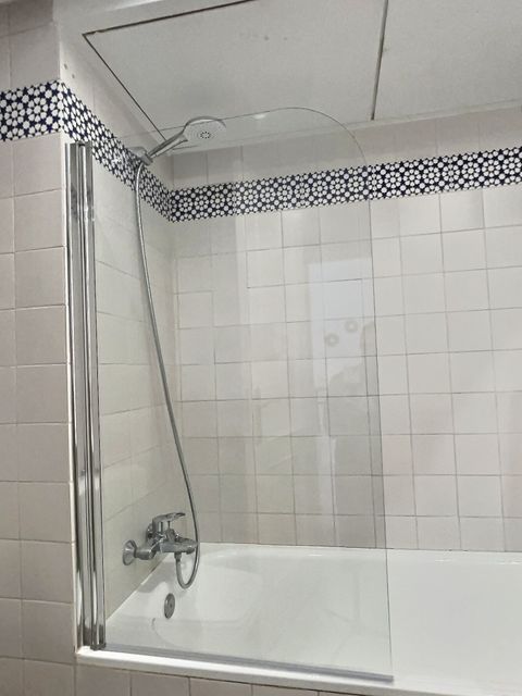 Guest bathroom shower