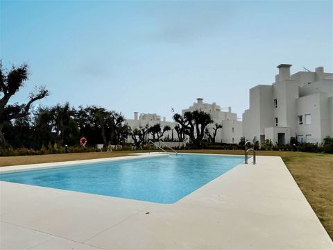 Swimming pool & community gardens