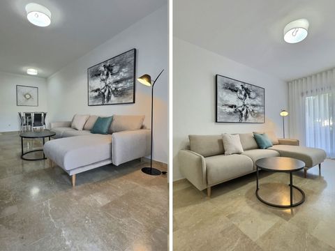 Living and dining area