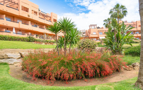 Community gardens