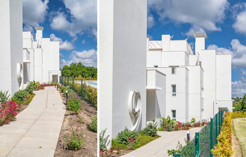 Communal gardens & pathways