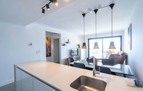 Kitchen, lounge & dining
