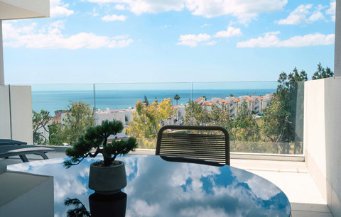 Terrace & dining