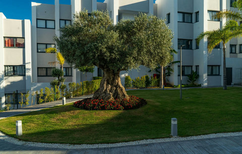 Community gardens