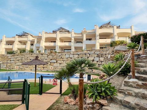 Swimming pool & gardens