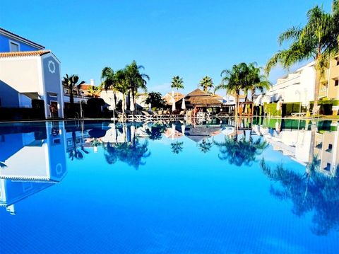 Swimming pool & gardens