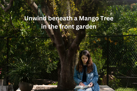 Mango Tree at the Entrance
