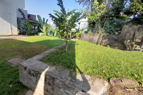 Back garden