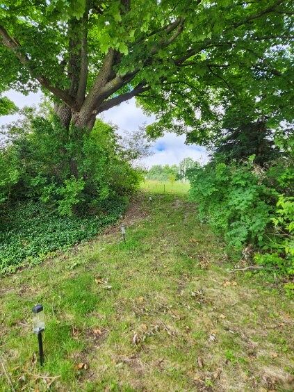 Follow the lights down to the beach