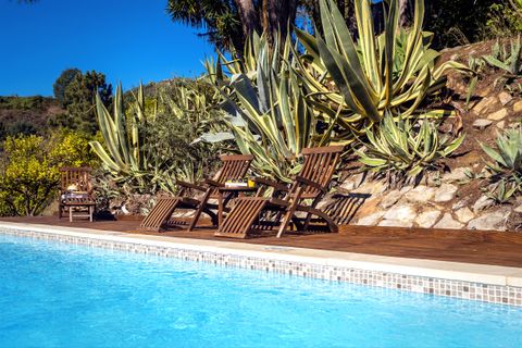 Enjoy our saltwater swimming pool and sun terrace