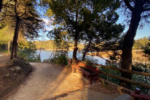 A path to the lake