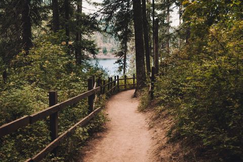 More than 200 km of scenic trails around the lake