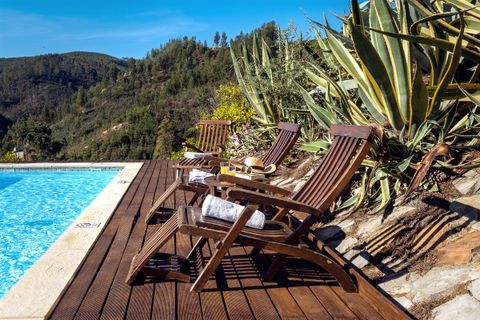 Solarium and sun loungers by the pool
