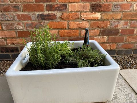 Herb  Garden