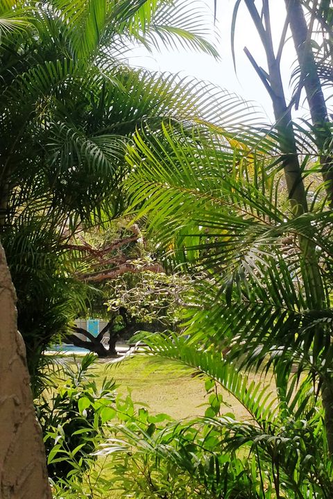 View to pool and Garden