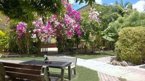 The peaceful garden view