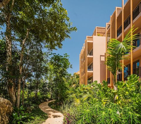 Walking track through the lush Tulum jungle