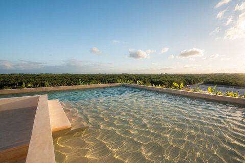 Rooftop Pool, Infinity, Lap Pool