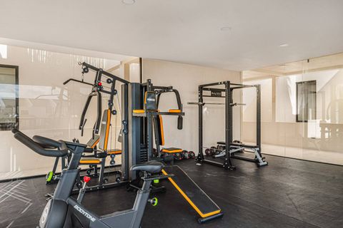 Professional Gym