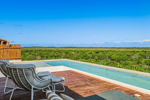 Incredible building long rooftop pool with forever green view of the national Jaguar Park