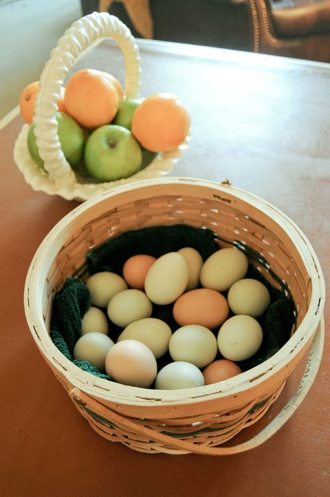 farm fresh eggs