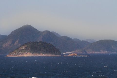 View from the window