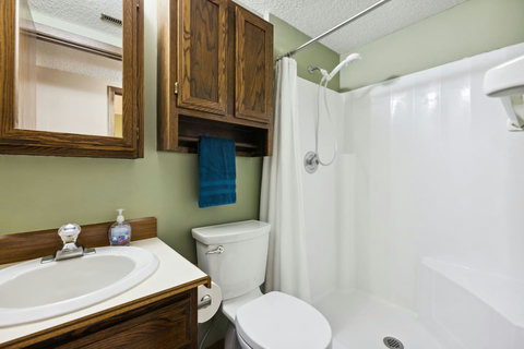 Bathroom #1, lower level