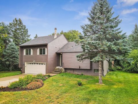 Large one acre yard