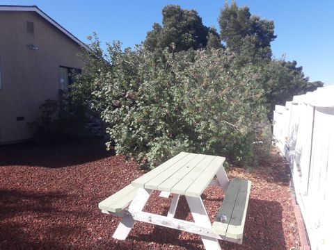 Backyard Garden & Picnic Table