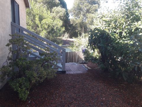 Backyard Garden
