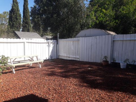 Backyard Garden & Picnic Table