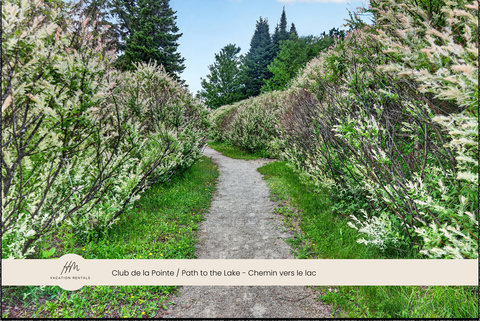 Scenic private path to the lake framed by lush flowering greenery
