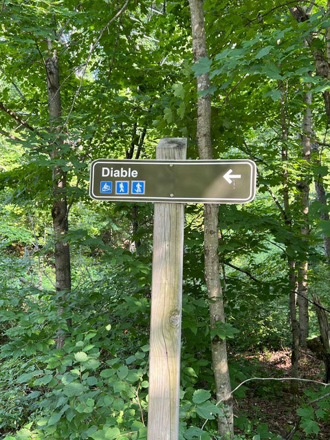 Diable Mountain Bike, Hiking and Snowshoe trail is accessible from the community road just a 2 mins walk north of LumiHaus. 