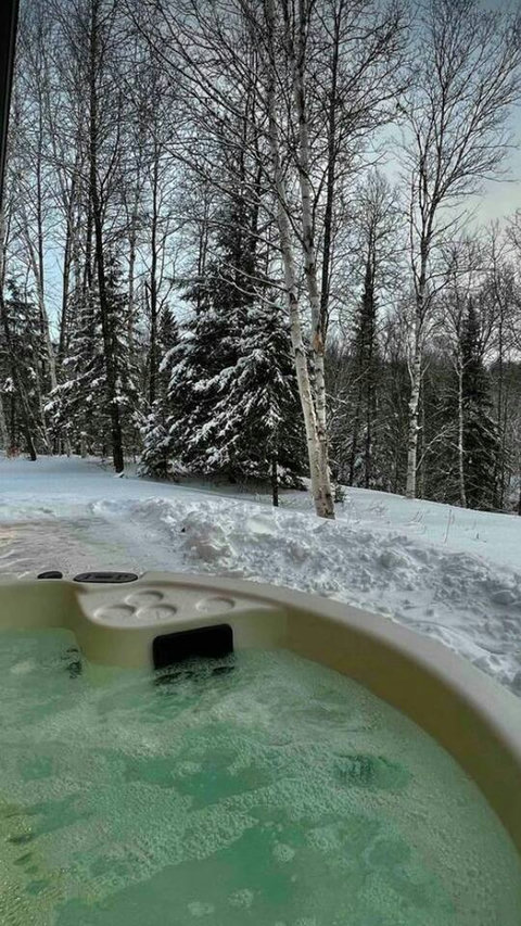 Nothing beats slipping into the hot spa as the forest wakes on a frosty morning. Taken 02/2025