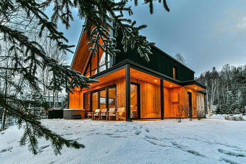 Golden warmth against a snowy backdrop.