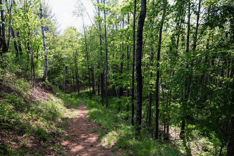 Community path down to Devil's River. 