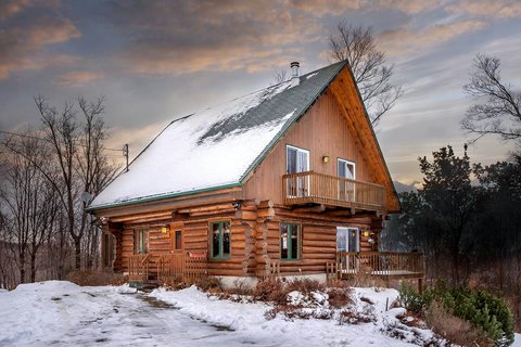 Scandinavian Log Chalet View