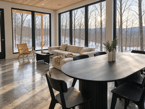 Sunlit modern lounge with panoramic forest and mountain views