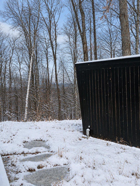 Modern black cabin tucked into a peaceful snowy woodland setting