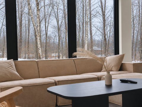 Cozy modern lounge with floor-to-ceiling forest views