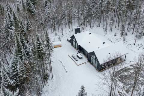 Secluded modern cabin with snowy forest views and spacious deck