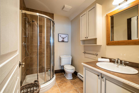 Full bathroom with shower, Washer & Dryer (Lower ground floor)
