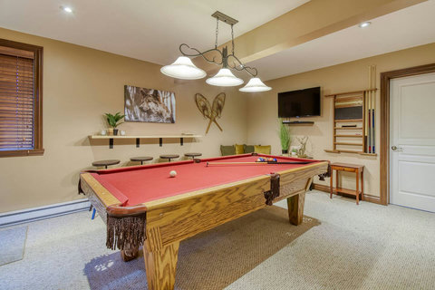 Pool table and mini bar
